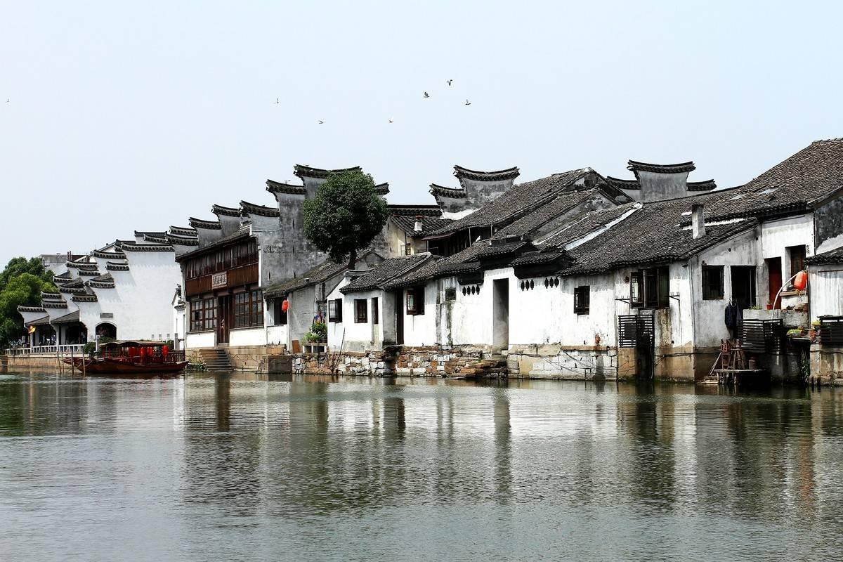 救援卡通小象
